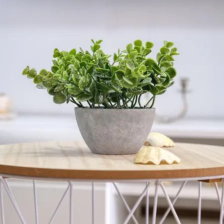 Apartment Poljak Rtina